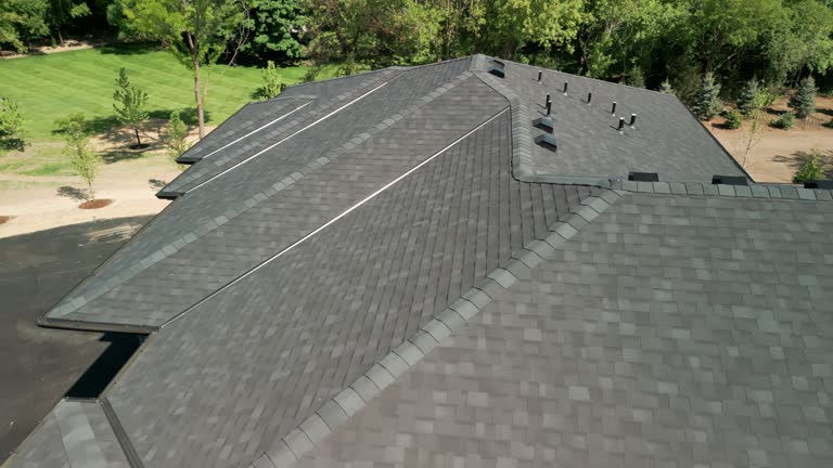 Best Roof Leak Repair  in Keaau, HI