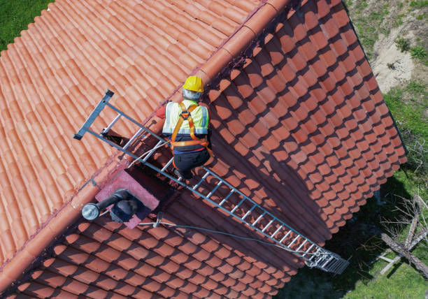 Best Roof Maintenance and Cleaning  in Keaau, HI